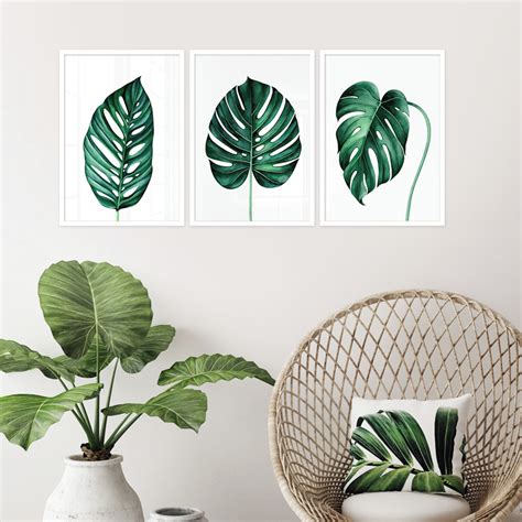 Kit 3 Quadros Folhagens Costela Adão Verde Botânico Floral Elo7