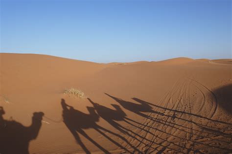 Deserto L Ombra Sabbia Foto Gratis Su Pixabay Pixabay