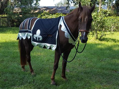 Destrier Horse Costume Medieval Barding Costume Equine | Etsy