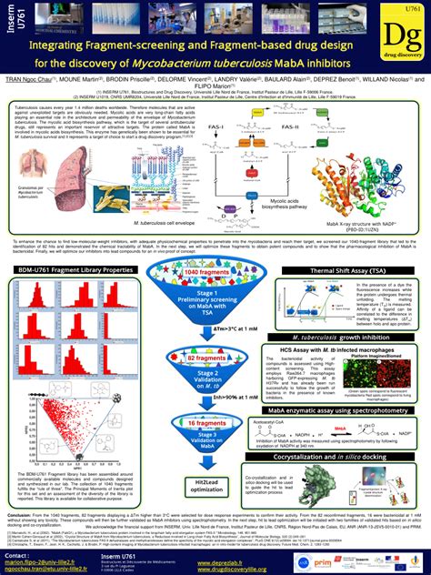 Pdf Integrating Fragment Screening And Fragment Based Drug Design For