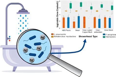 Potentially Harmful Bacteria Can Slip Through Antimicrobial Showerheads