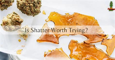 Is Shatter Worth It? Use And Effects Of Best Shatter Strains