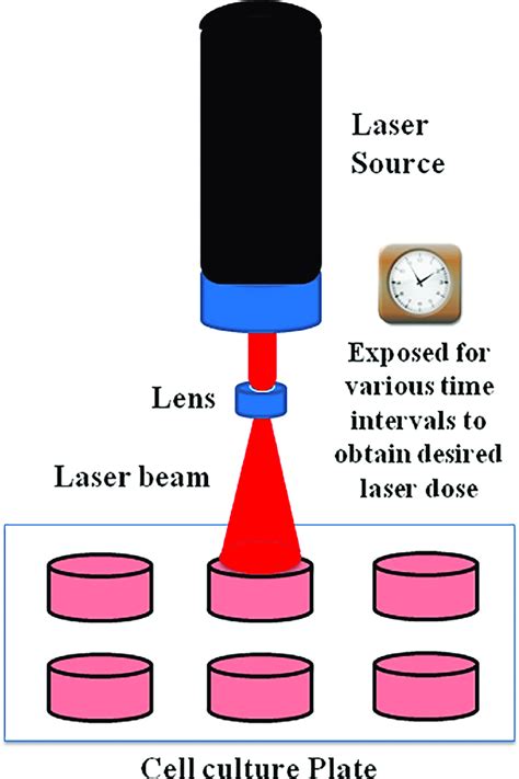 Schematic Representation Of Laser Irradiation The Beam From The He Ne