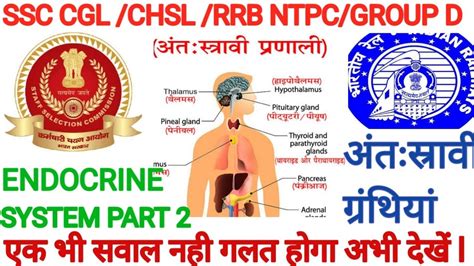 Biology Endocrine System Ncert Based Previous Year Question Based Ssc