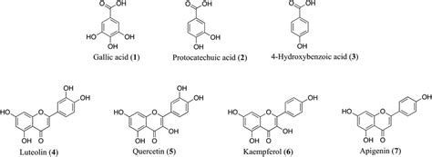 Chemical Structures Of The Compounds Identified Are As Follows Gallic Download Scientific