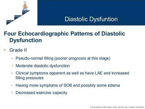 Principal Basics Of The Echocardiogram Diastolic Dysfunction And Left…