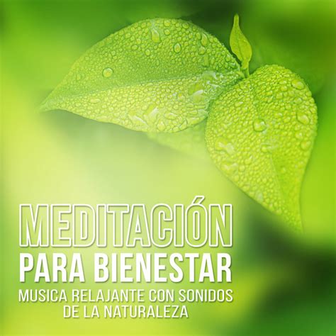 Meditaci N Para Bienestar Musica Relajante Con Sonidos De La