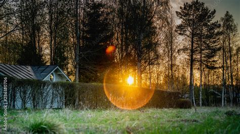 Sunset Shines Through Spring Forest Swedish Countryside Romantic