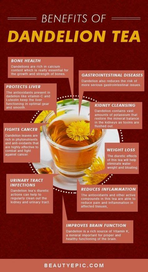 Health Benefits Of Dandelion Tea How To Natural Benefitsdetoxtea