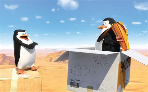 Hd Wallpaper Penguins Of Madagascar Wallpaper Flare