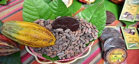 Precio del cacao se dispara y rompe máximos históricos