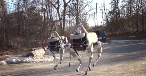 The Creepy Collective Behavior of Boston Dynamics' New Robot Dog | WIRED