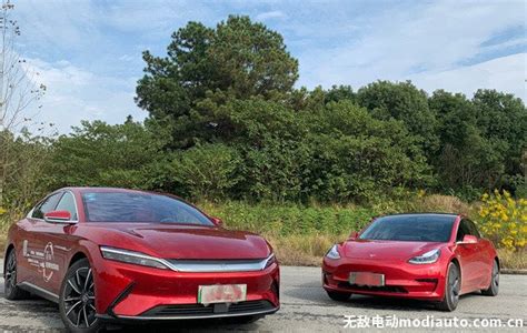 比亚迪汉和特斯拉model 3哪个好？比亚迪汉与特斯拉真实差距 无敌电动