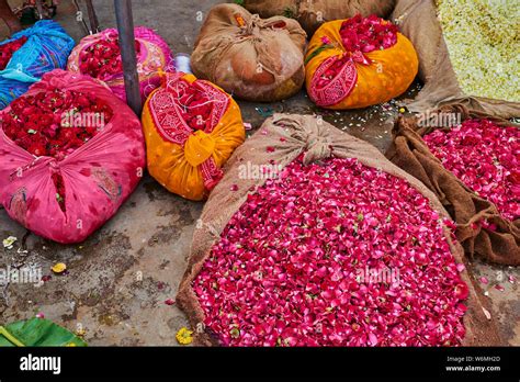 India, Rajasthan, Jaipur, flower market Stock Photo - Alamy