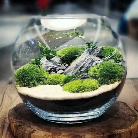 Fantastic Moss Terrarium Ideas You Can Have At Home Artofit