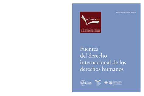 Fuentes Del Derecho Internacional De Los Derechos Humanos Fuentes