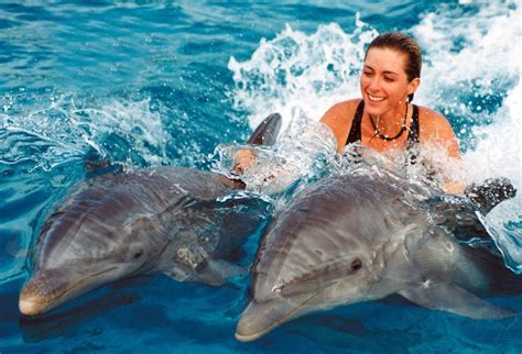 Swim With Dolphins In Cuba