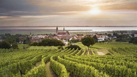 Austrian Sweet Wine Ruster Ausbruch Receives Dac Status Wein Plus