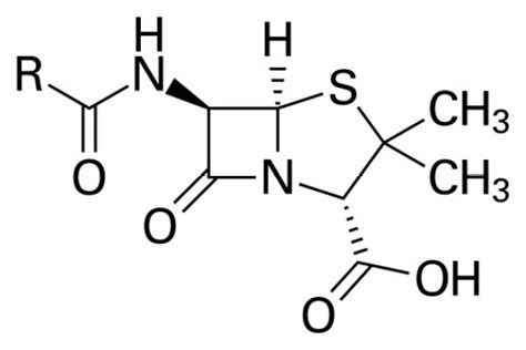 What Is The Difference Between Beta Lactam And Non Beta Lactam Antibiotics Pediaa