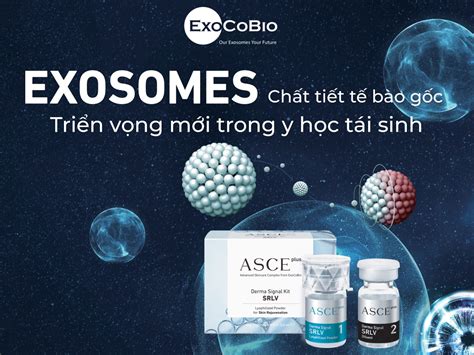 I U Ch Spa C Th Ch A Bi T V Exosome Asce Plus Authentic Store