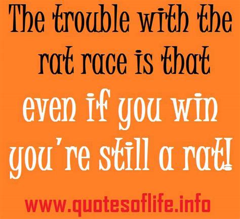 Rat Race Quotes. QuotesGram