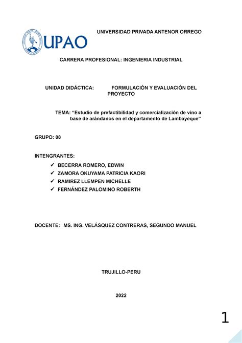 G Formulacion Y Evaluacion De Proyectos Universidad Privada