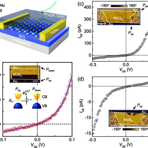 Schematics of key attributes of ferroelectrics and potential ...