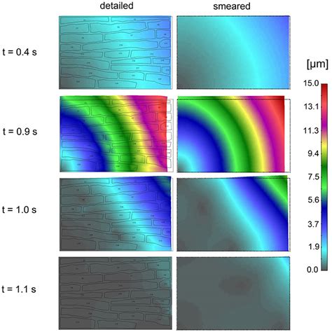 Frontiers Smeared Multiscale Finite Element Models For Mass Transport