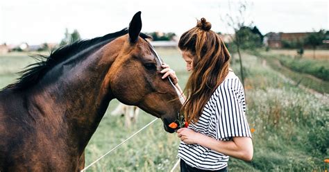 Horse Allergy: Causes, Symptoms, and Treatments