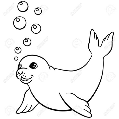 Baby Seal Drawing | Free download on ClipArtMag