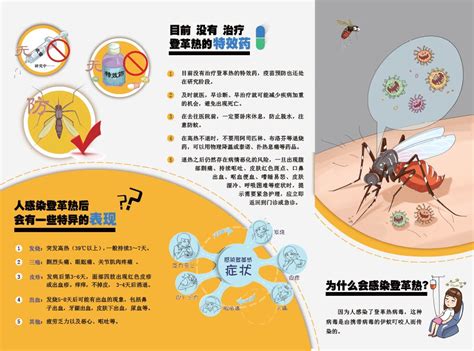 防蚊灭蚊 防控登革热 广外校医院