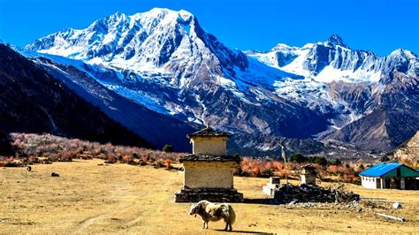 Tips For A Successful Manaslu Trekking Region