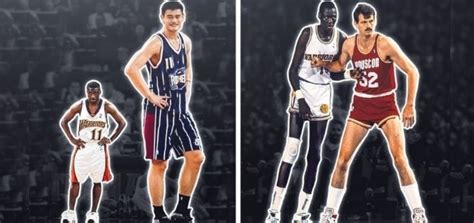 Ultimate Guide: The Average Height of NBA Players By Position