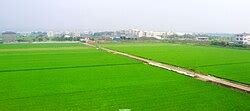 chiayi tainan plain wikipedia