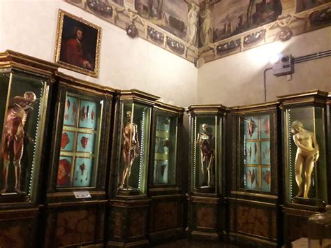 Museo Di Palazzo Poggi Bologna Italia It