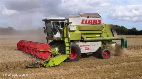 K Harvest Class Dominator Cs Harvesting Wheat In Suffolk