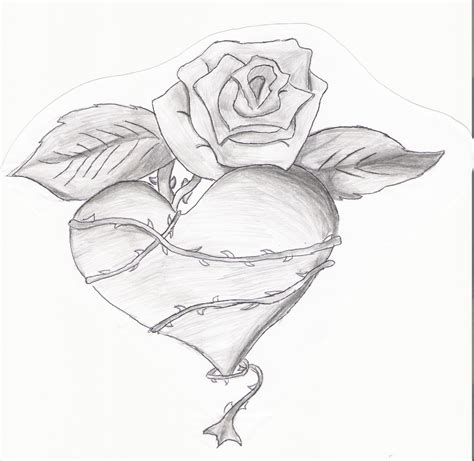 Heart Wrapped Around Rose by FeeOhNah on DeviantArt