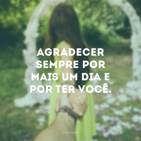 Frases Sobre Agradecimento