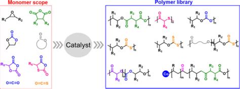 Maruzen Petrochemical Develops New Monomer For Bonding Heterogeneous