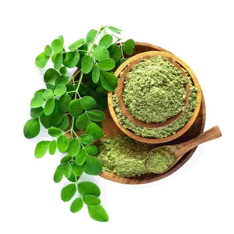 Moringa Side Effects