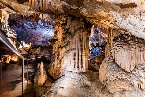 Tripadvisor Cuevas De Jenolan Lucas Cave Tour Ofrecido Por Jenolan