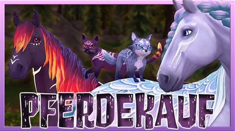 Wir Kaufen Umbra And Ayla Die Neuen Urpferde 🦄 Ihre Pets 🦊🐱 Star Stable