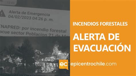 Senapred solicita la evacuación del sector de Nacimiento por incendio