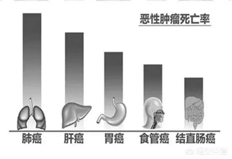 為什麼超過50歲就要密切做體檢，80的腫瘤患者發生在50歲以後 每日頭條