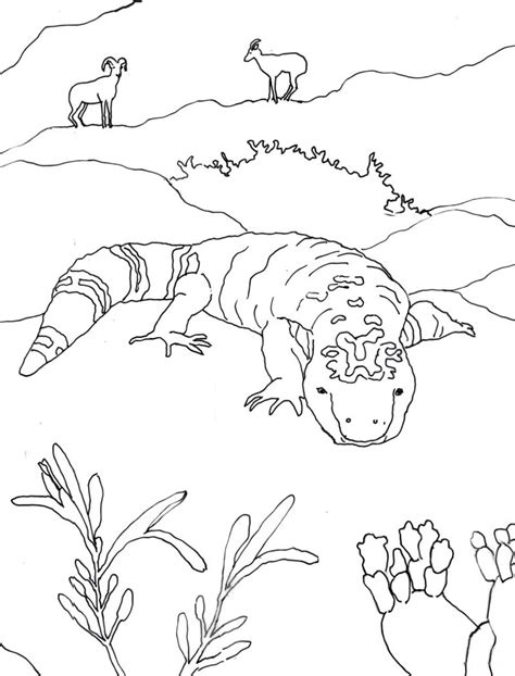 Desert Animals Drawing at GetDrawings | Free download