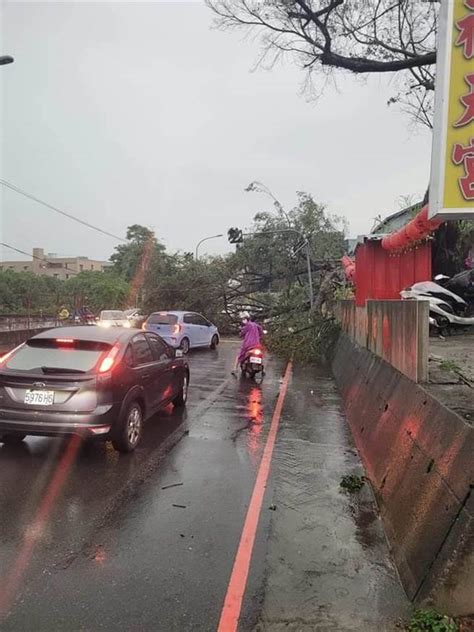 上班請繞路！台中馬路變「紅河」 路樹突倒塌阻斷交通 生活 中時