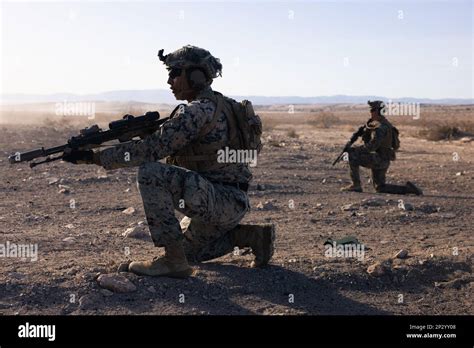 U S Marines With 3d Littoral Combat Team 3d Marine Littoral Regiment