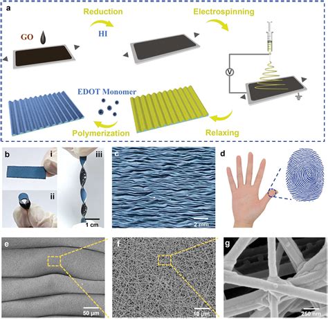 Fingerprintinspired High Conductive Pedotcoated Nanofiber Film For