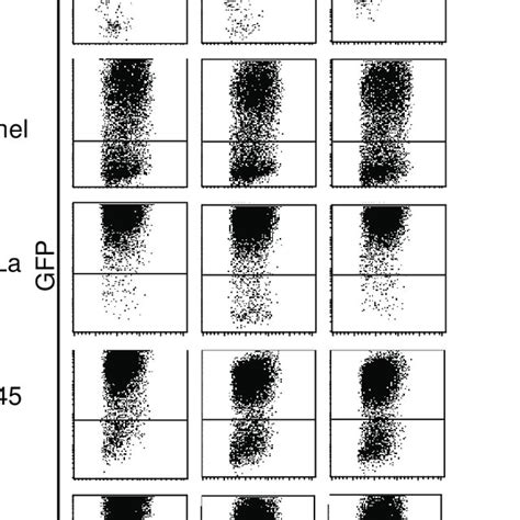 Figure S Levels Of Gfp In Transduced Cells Different Human Cell Lines