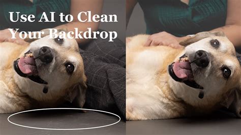 How To Easily Remove Pet Fur From A Studio Backdrop For Pet Photography